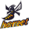 logo_10_hornet.png