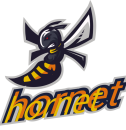 logo_10_hornet.png